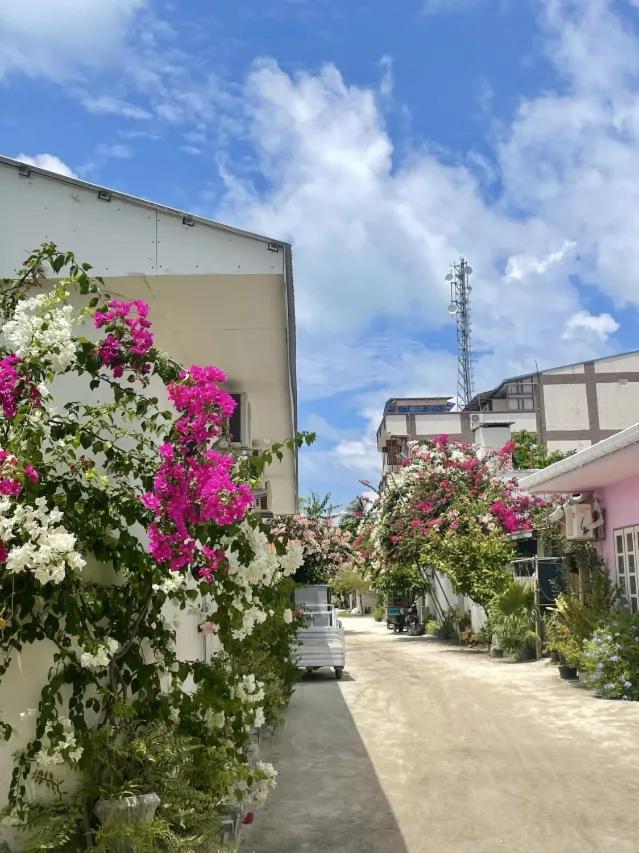 Moonlit Haven Hotel Guraidhoo  Exterior photo